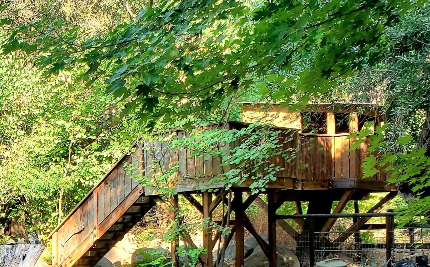 Magical River House ! 10 Min To Snp Park Entrance Three Rivers Kültér fotó
